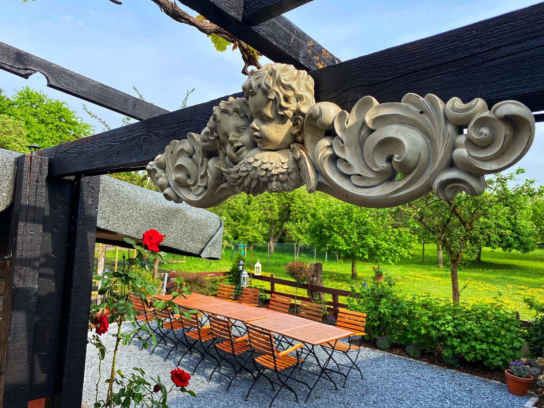 Weingarten im Sommer